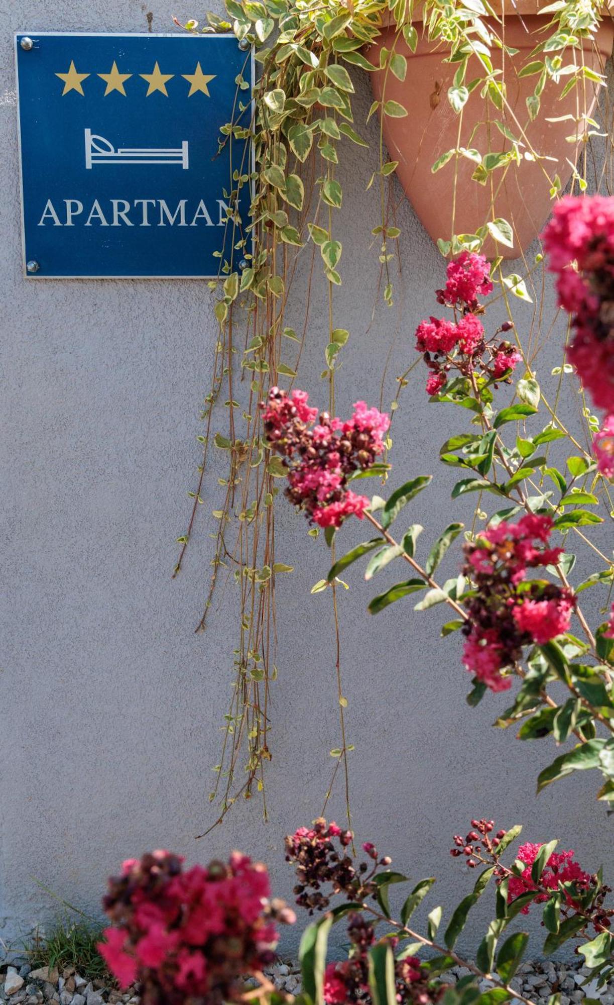 Luxury Apartment Alba With Pool Kanfanar Exterior photo